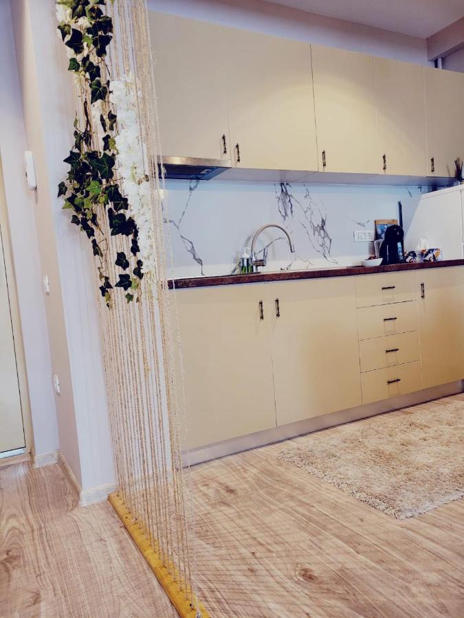 מאמאיה Vega Apartment By Moonlight מראה חיצוני תמונה